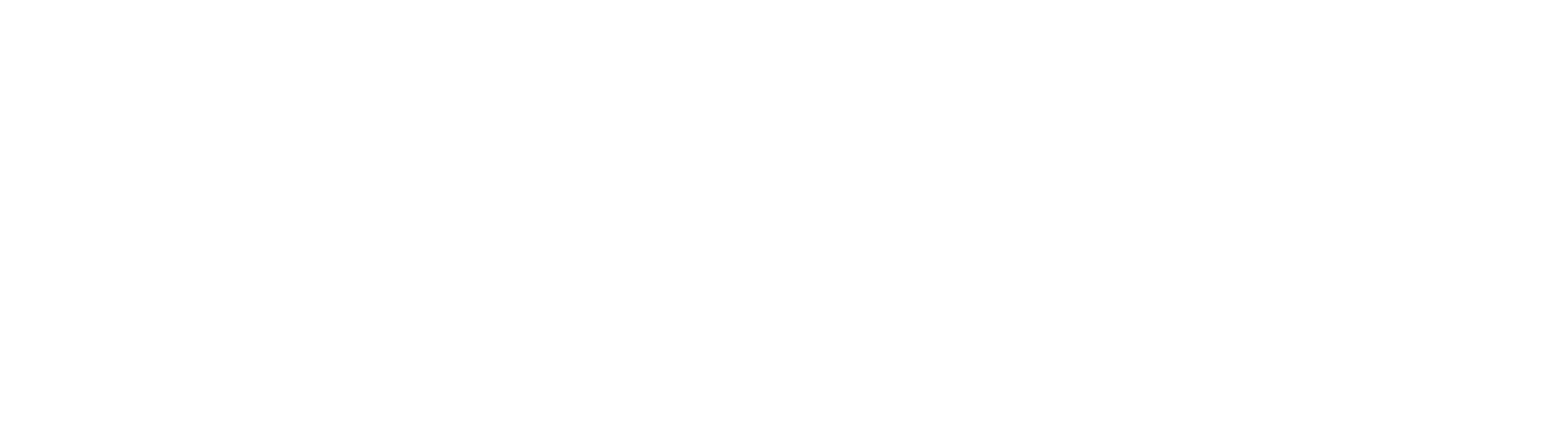 Open AI logo white